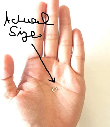 BDSM Locking Day Collar O Ring Submissive Solid 14K Gold Minimalist Discreet Micro BDSM Yellow Rose or White