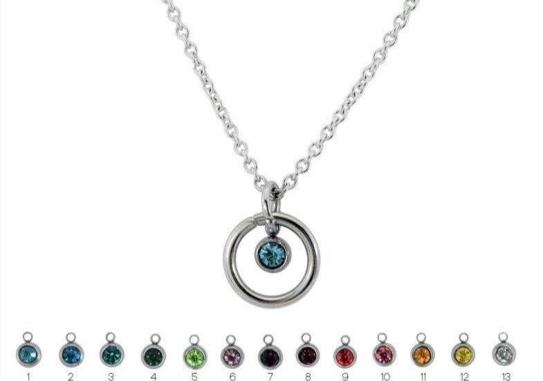 316L Surgical Stainless Steel O ring with Crystal BDSM Day Collar s2