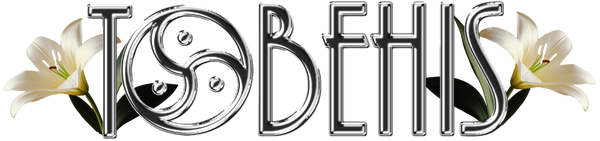 ToBeHis LLC