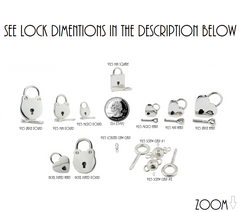 BDSM Lock listing of 6 to 13  different locks and our New Screw Lock that doesn't use an allen or hex available in 316L Stainless steel or solid 925 Sterling Silver